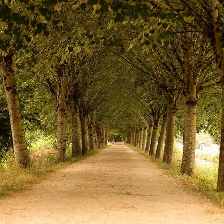 Le Chic & Raffine - Terrasse & Climatise