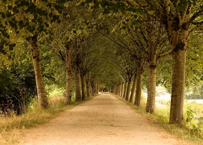 Le Chic & Raffine - Terrasse & Climatise